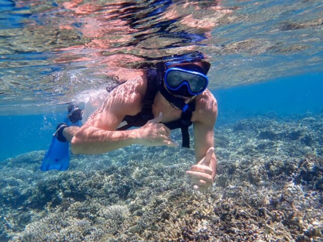 Iriomote Island Snorkeling