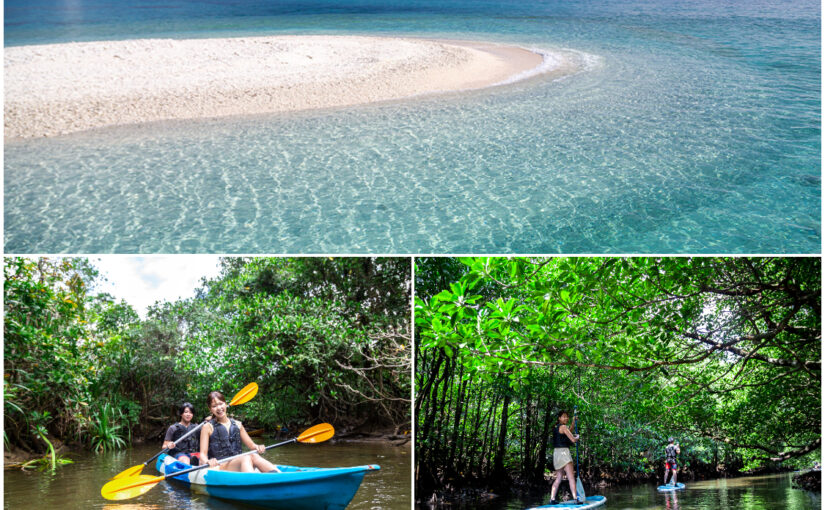 【ツアーズ特別価格】世界遺産西表島でマングローブSUP（カヌー）＆"奇跡の島"バラス島シュノーケル《石垣島-西表島往復フェリーチケット付き》（No.485）