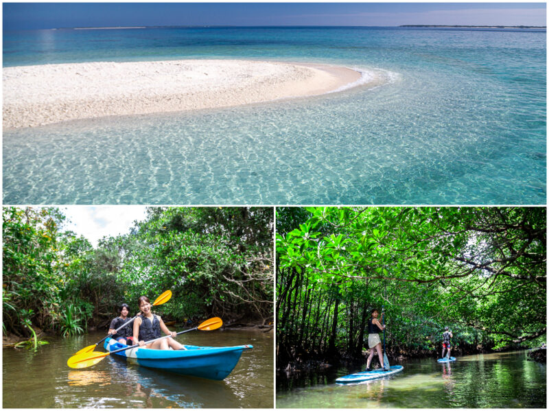 【ツアーズ特別価格】世界遺産西表島でマングローブSUP（カヌー）＆"奇跡の島"バラス島シュノーケル《石垣島-西表島往復フェリーチケット付き》（No.485）
