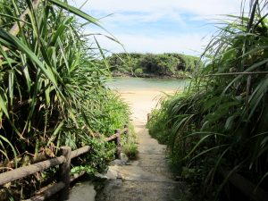 星砂海岸 星の砂浜 西表島の観光スポット 西表島ツアーズ