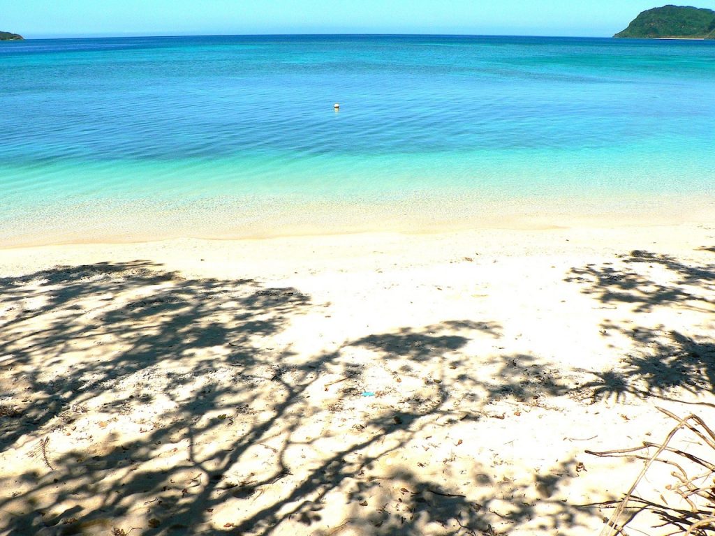 【世界遺産西表島】ウミガメも上陸する秘密のビーチ！貸切プライベート気分でシュノーケリング