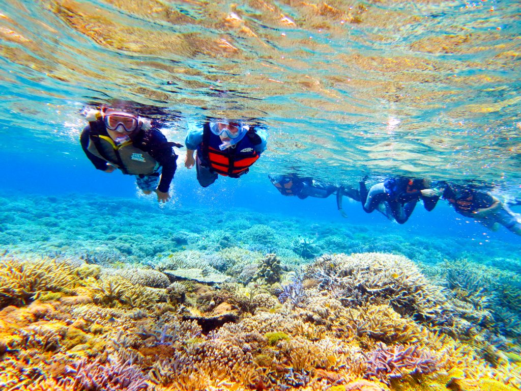 【世界遺産西表島】色とりどり100種類 天然の水族館！星砂海岸シュノーケリング（写真データ無料プレゼント付き）