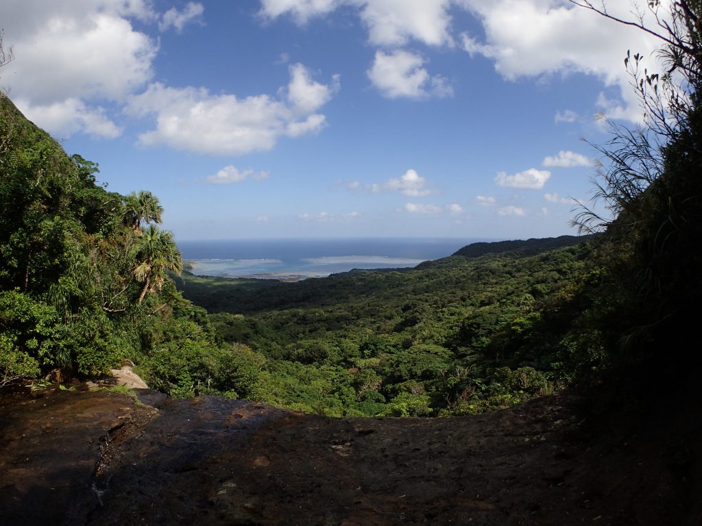 【世界遺産西表島】西表島で一番高い「ユツンの滝」へ！亜熱帯ジャングルトレッキングツアー《嬉しいランチ付き》 