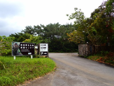 西表野生生物保護センターの入り口