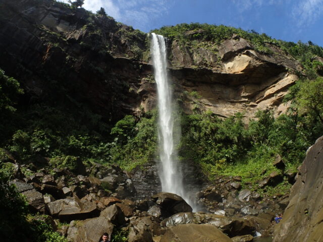西表島最大級のピナイサーラの滝カヌーコース