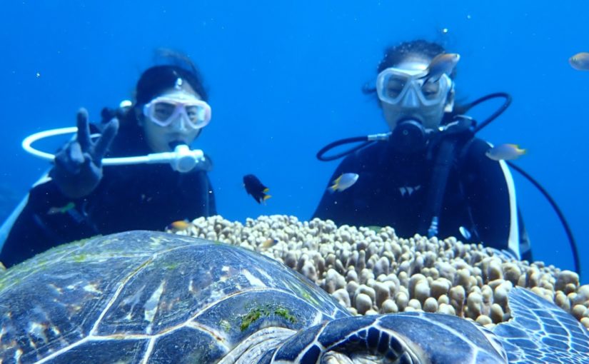 ダイビングでウミガメ観察