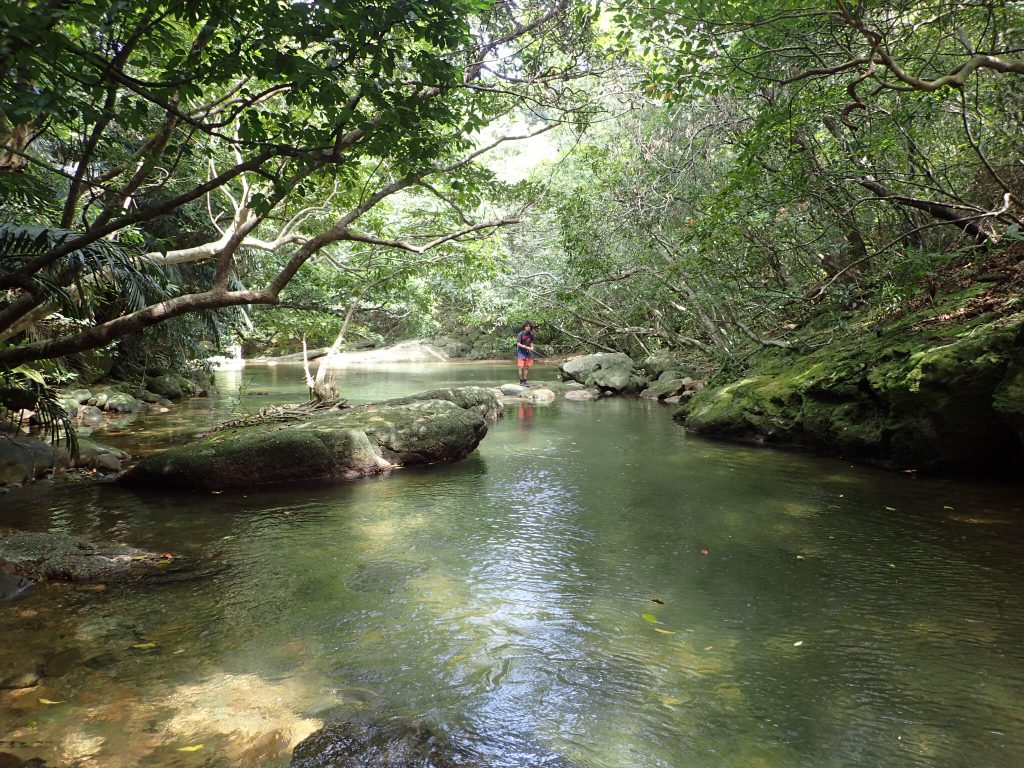 ここは行きたい！西表島のおすすめ観光＆遊びスポット一覧モダマ池
