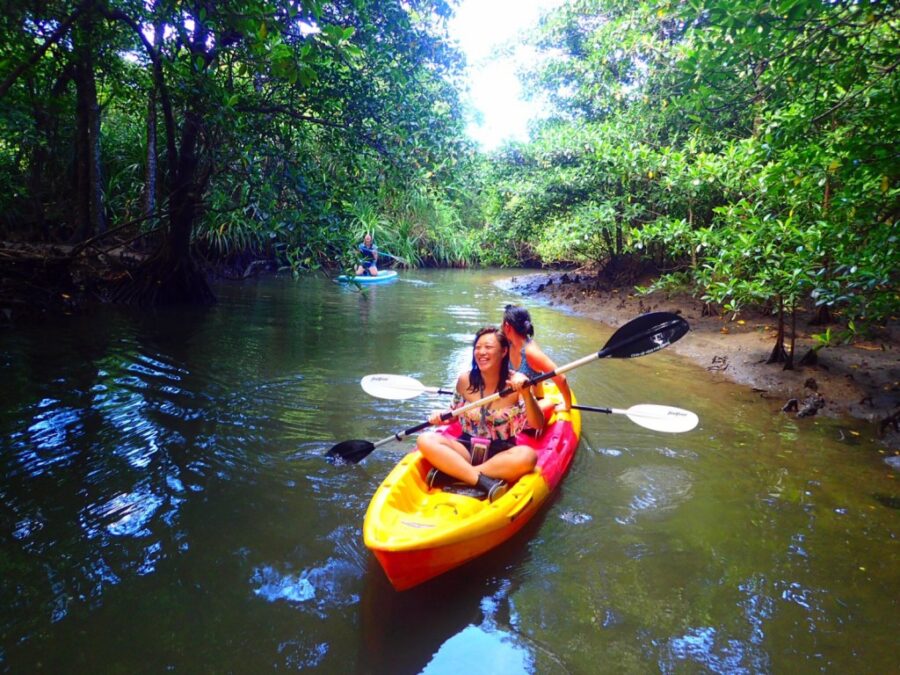 西表島でカヤックを楽しむ2人