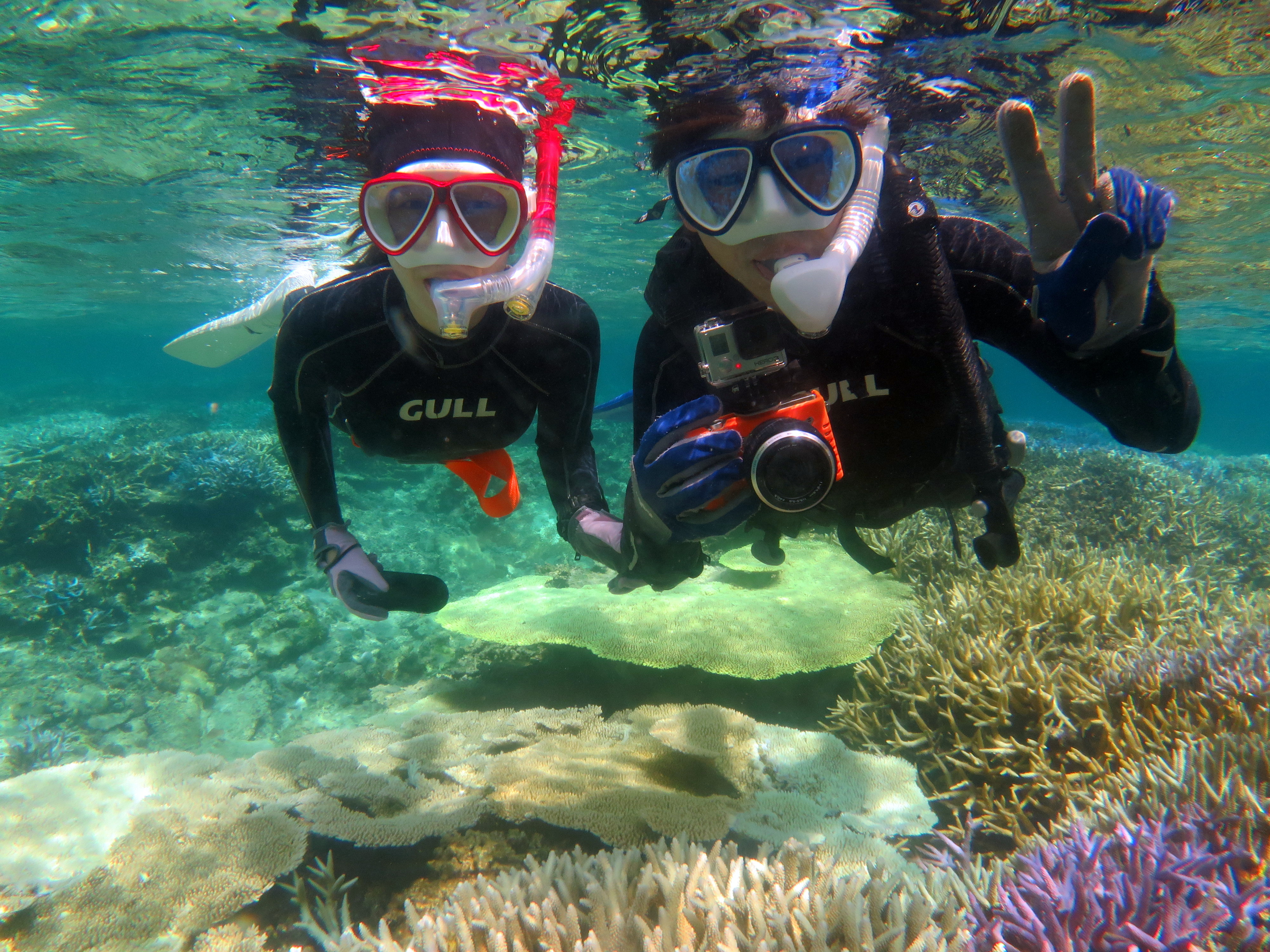 【世界遺産西表島】色とりどり100種類 天然の水族館！星砂海岸シュノーケリング（写真データ無料プレゼント付き）（No.22）