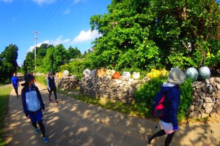 鳩間島観光を楽しむ人たち