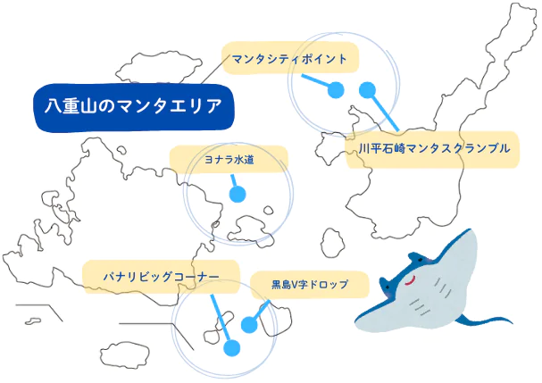 西表島マンタ