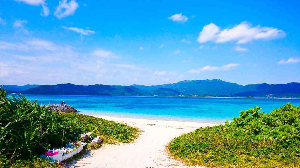 小浜島から西表島のツアーに参加できる？どっちがおすすめ？効率的に旅行を楽しむ方法