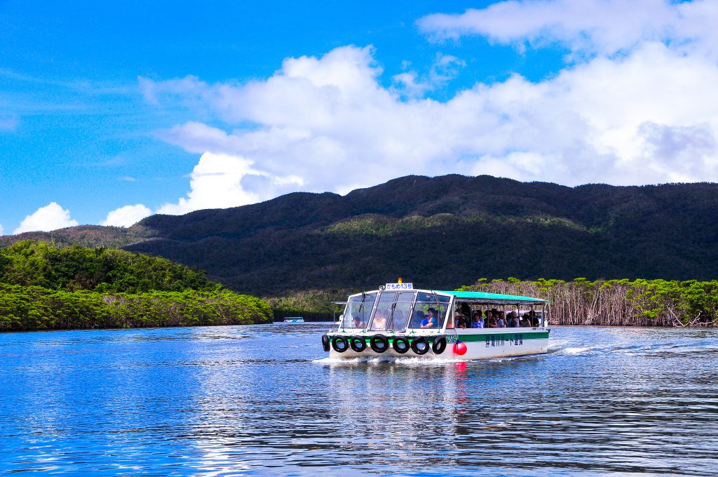 仲間川 マングローブクルーズ