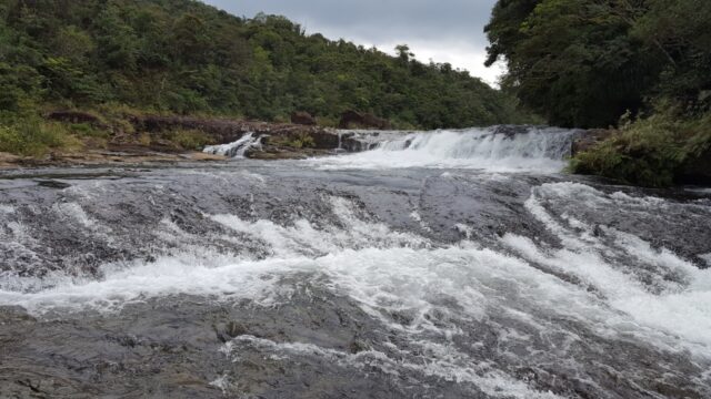 西表島のカンピレーの滝