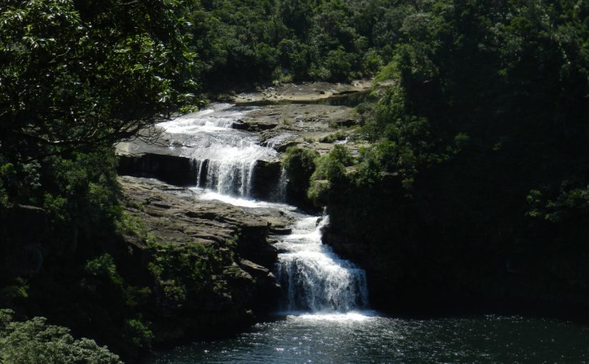 西表島のマリユドゥの滝