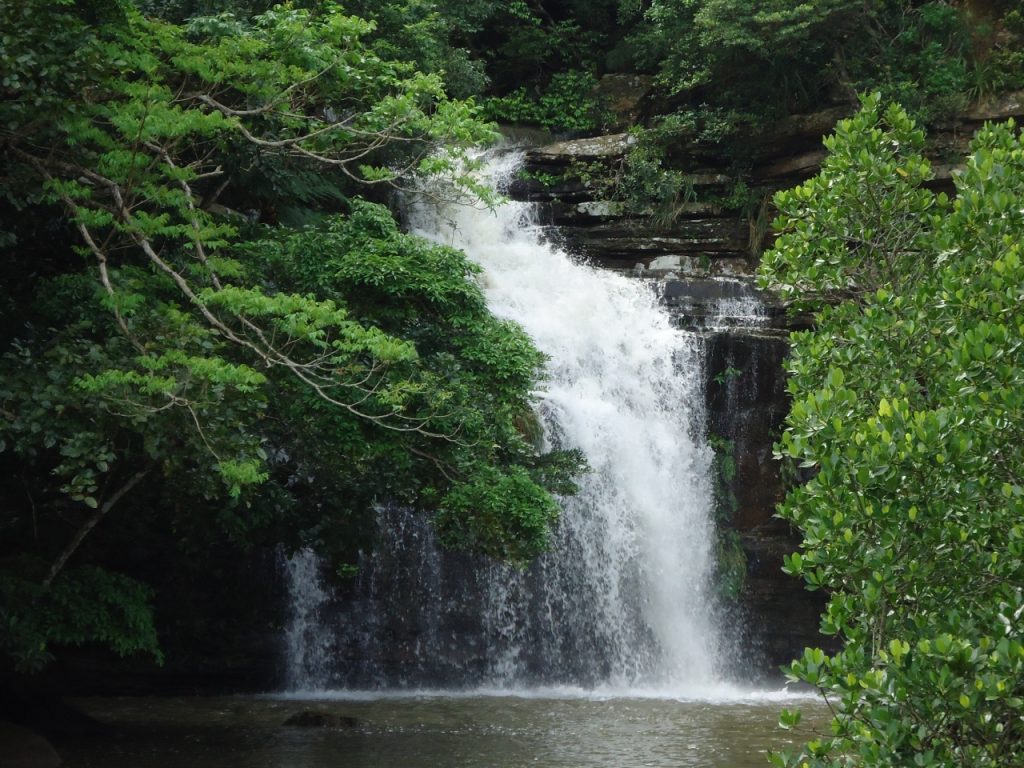 西表島の水落の滝