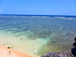 【鳩間島観光】レンタサイクルで巡る！鳩間島おすすめ絶景スポット10選