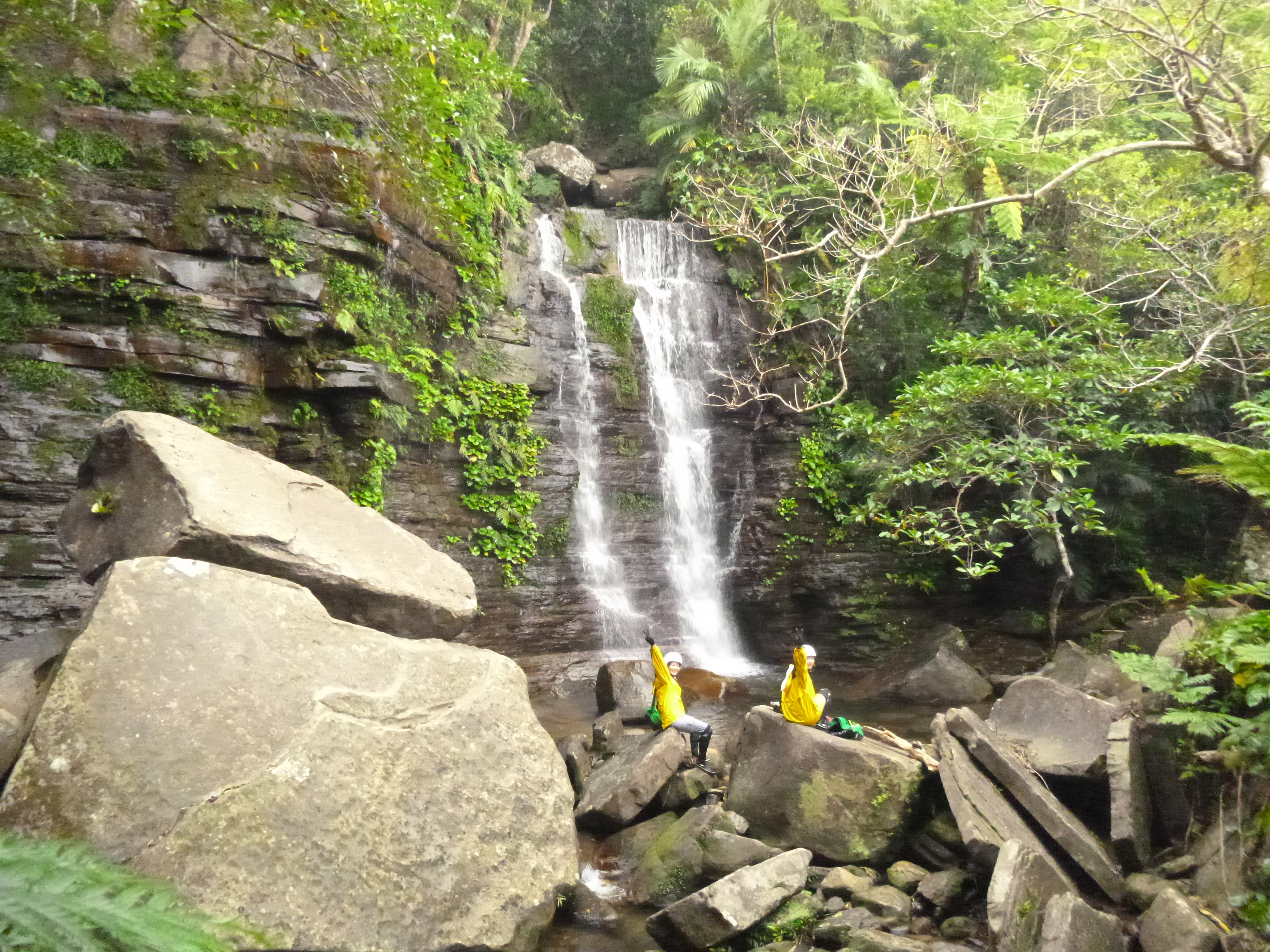 【世界遺産西表島】神秘の滝と出会う！「ゲータの滝」シャワークライミング半日コース（No.90）