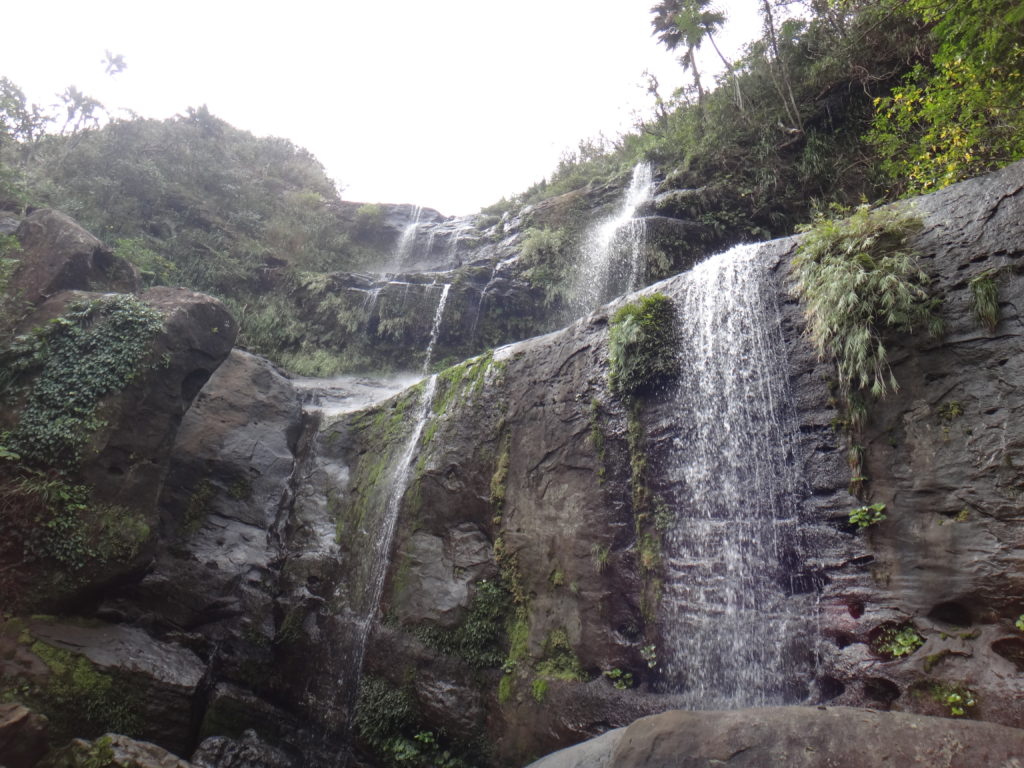 世界遺産西表島の滝の魅力を徹底解説！滝で楽しめるおすすめのツアーもご紹介！ユツンの滝