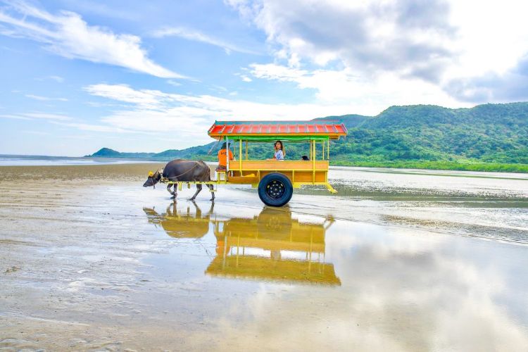 由布島への水牛車