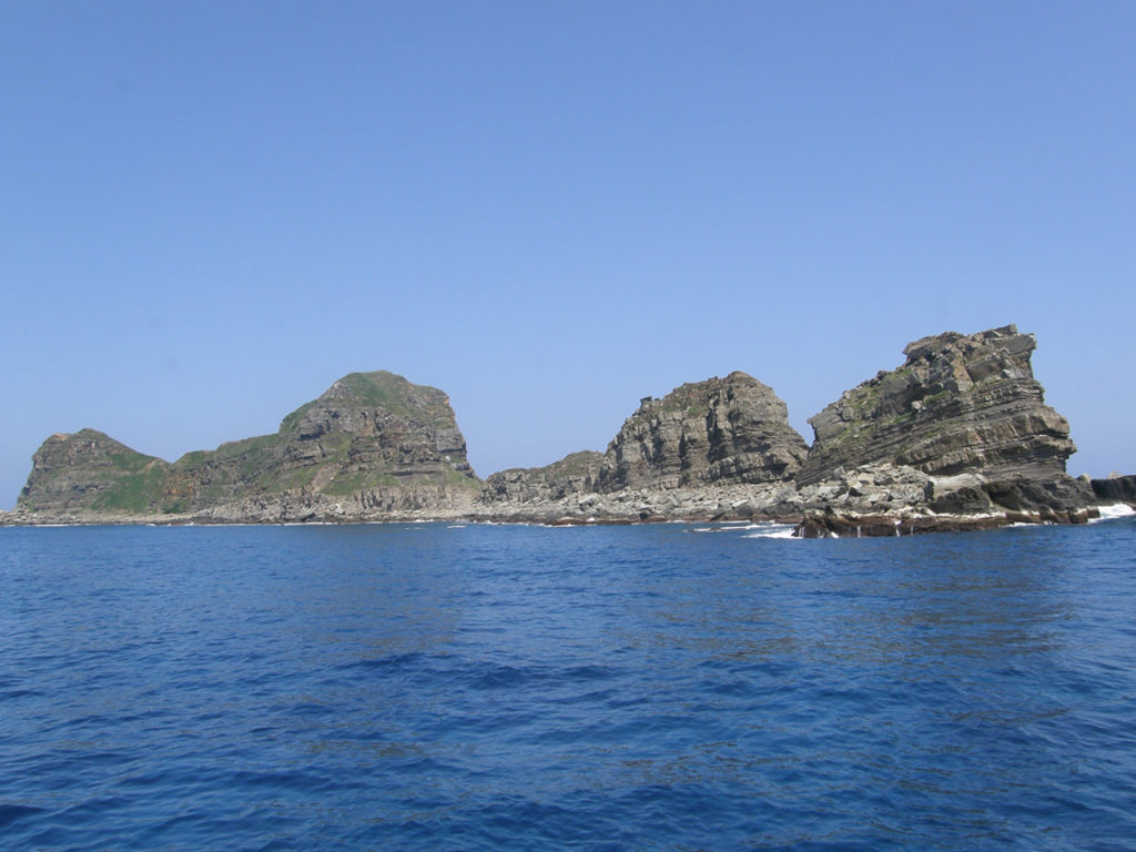 仲ノ神島の全景