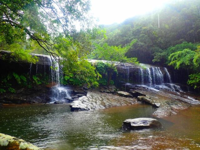 世界遺産西表島の滝の魅力を徹底解説！滝で楽しめるおすすめのツアーもご紹介！