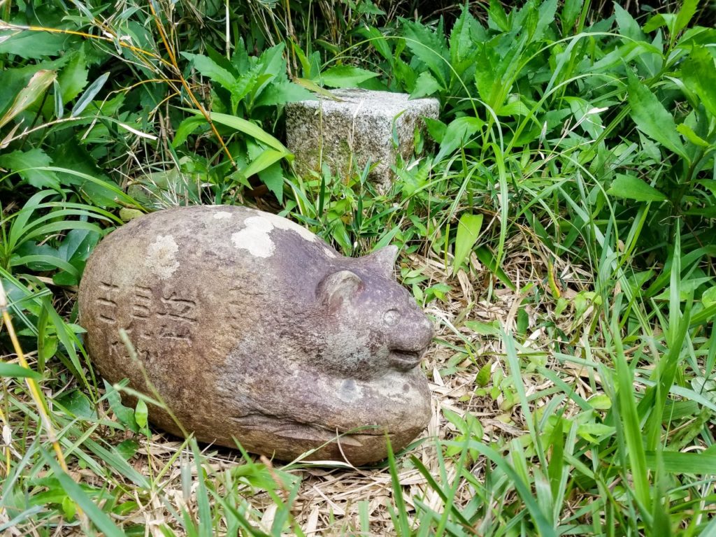 古見岳頂上の石