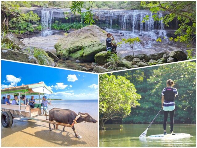 隠れた秘境『サンガラの滝』マングローブカヌー/SUP＆水牛車で渡る『由布島』観光ツアー