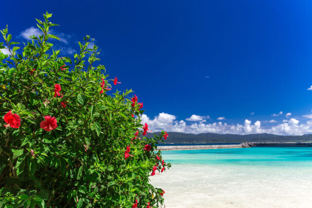 西表島の7月は最高の旅行日和！