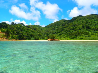 網取の海