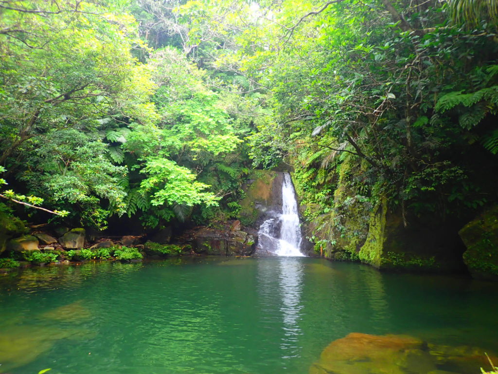 世界遺産西表島の滝の魅力を徹底解説！滝で楽しめるおすすめのツアーもご紹介！アダナテの滝