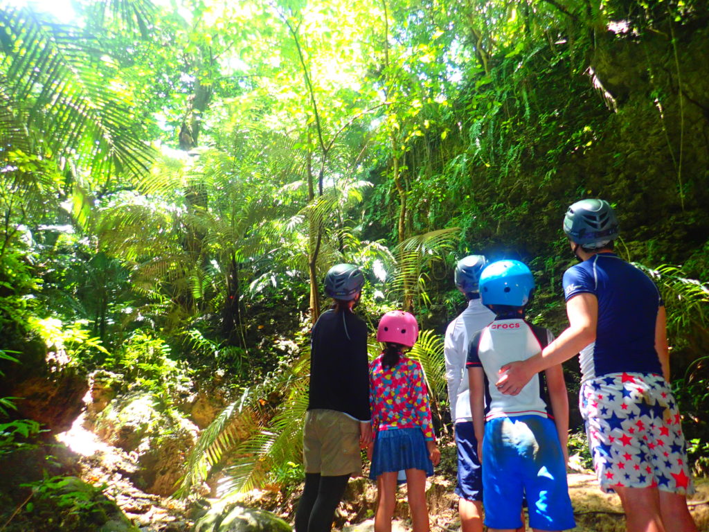 西表島鍾乳洞、家族で