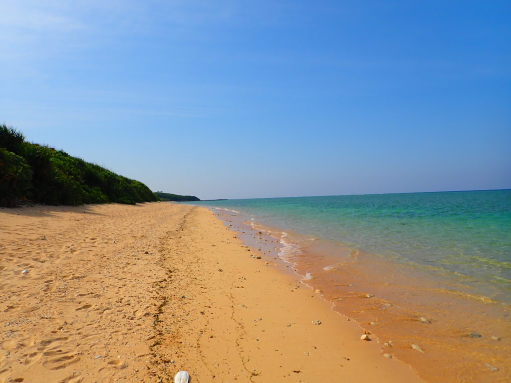 中野海岸