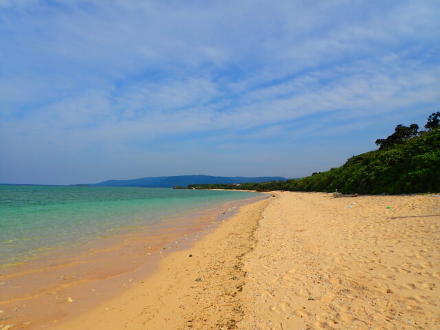 中野海岸