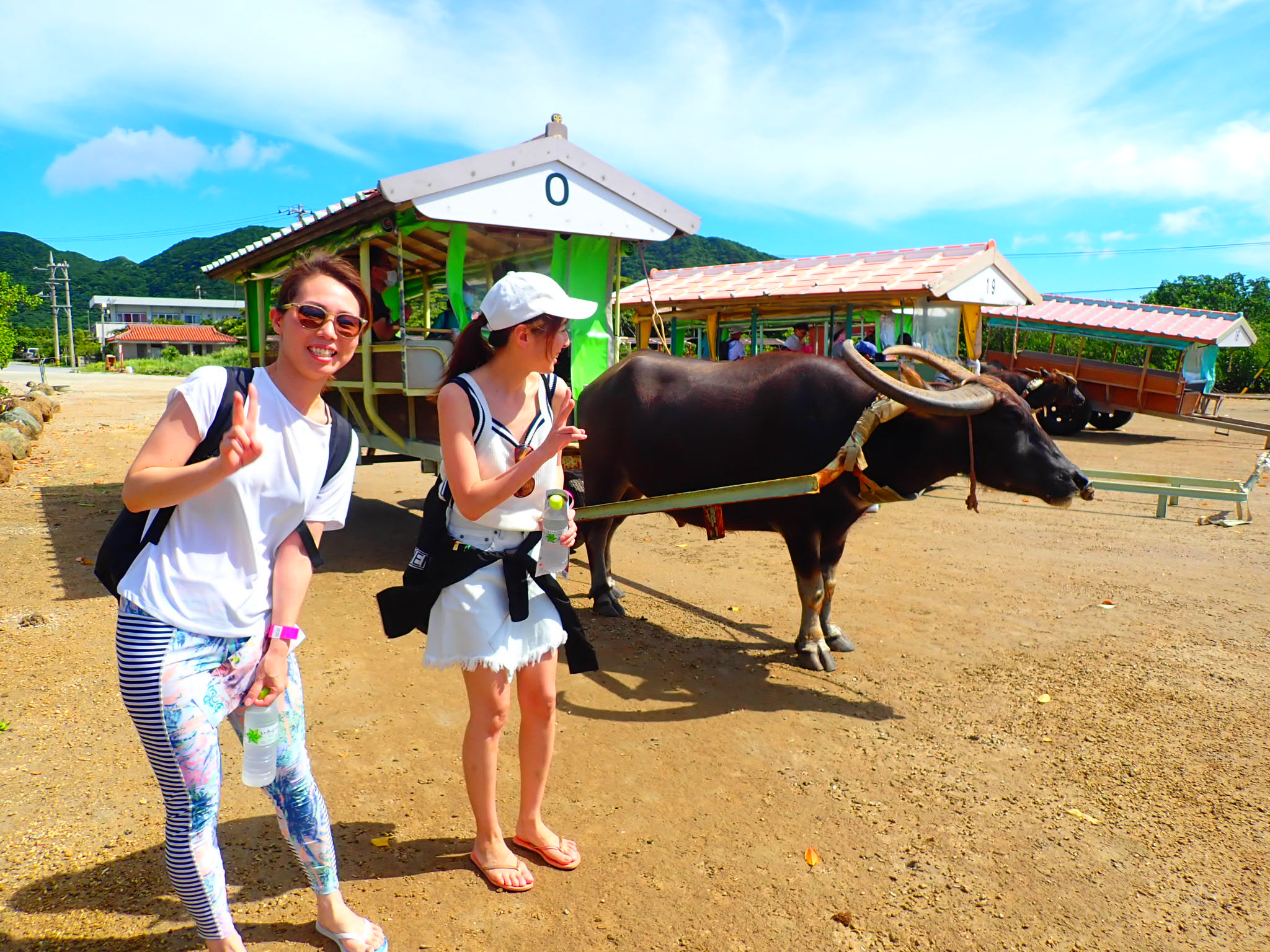 超爽快キャニオニング 沢下り ゆったり由布島観光セットプラン 西表島ツアーズ