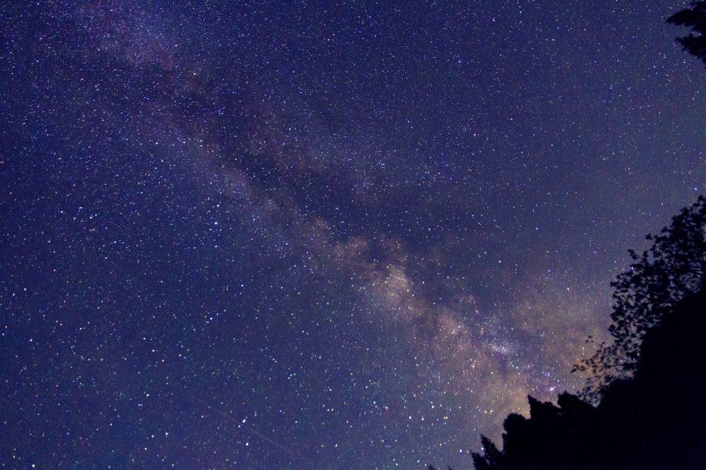 【世界遺産西表島】【3月〜6月開催】天然のイルミネーション！期間限定ヤエヤマヒメボタル観賞ツアー（No.15）
