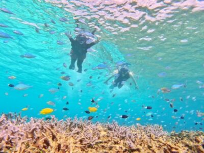 【西表島/1日】ガイド貸切☆贅沢VIPチャータープラン＜写真無料＆送迎付き＞柔軟対応◎自分たちのペースで♪団体旅行・社員旅行にも