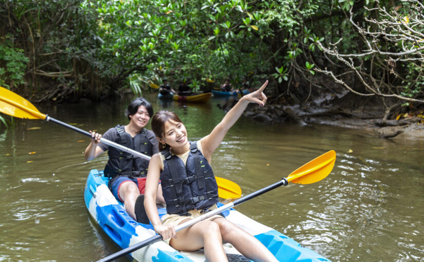西表島カヌーツアー 西表島ツアーズ