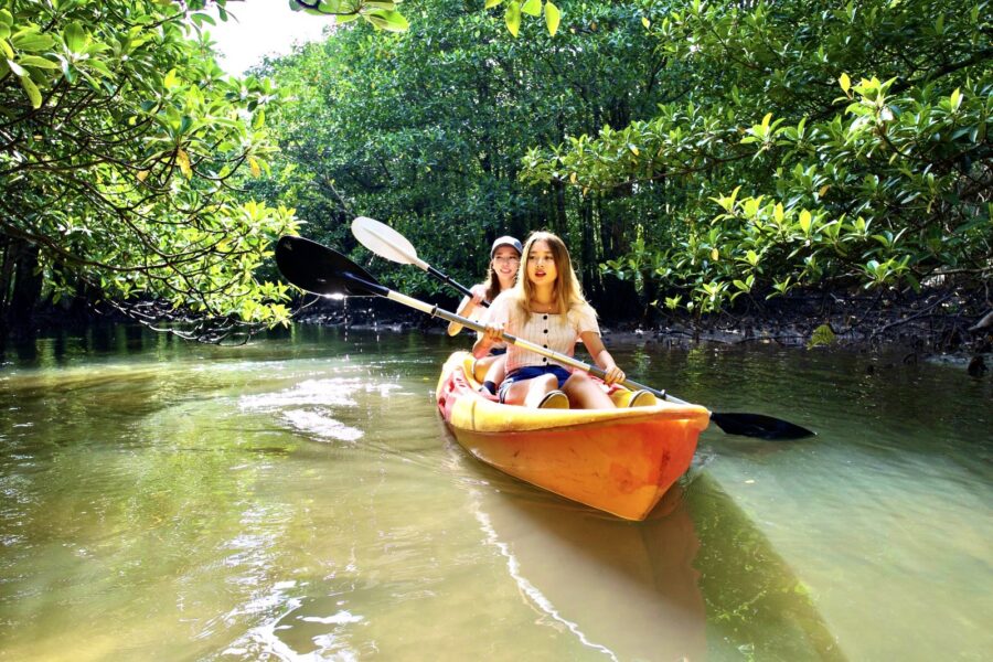 西表島　マングローブカヌー