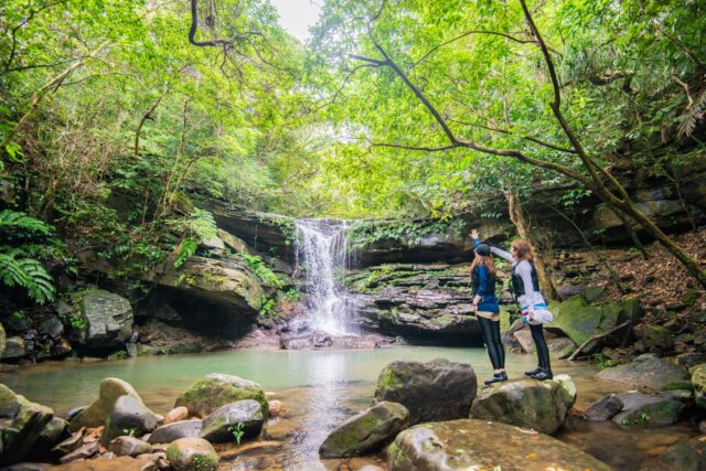 雨の西表島を楽しもう！天気が悪くても楽しめるアクティビティまとめ