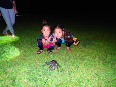 【西表島/夜】当日予約OK！夜の西表島を大満喫☆星空＆亜熱帯ジャングルナイトツアー♪《前日18時までキャンセル無料》子連れ家族・団体旅行にもおすすめ