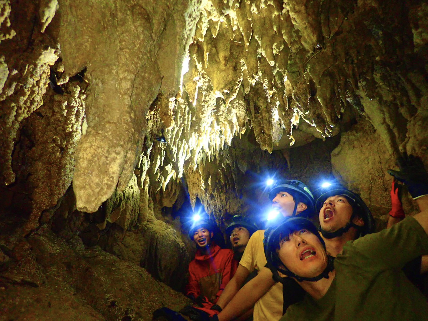 西表島鍾乳洞探検（ケイビング体験）ツアーを比較・予約【2023年度最新版】 | 西表島ツアーズ