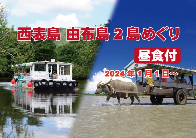 【日帰りOK】西表島・竹富島・離島周遊ツアー完全ガイド｜2島めぐるおすすめプランも