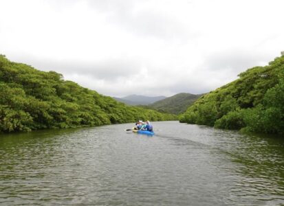 【西表島大原港/1日】仲間川マングローブをカヌー・SUPで大冒険☆滝つぼキャニオニングで水遊びも満喫！＜プロガイド同行＆写真無料プレゼント＞