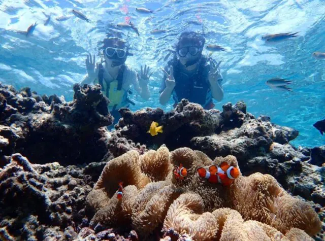 【小浜島/半日】リクエストOK◎贅沢に貸切って遊ぼう！ボートチャータープラン！卒業旅行・社員旅行・団体で利用できる☆