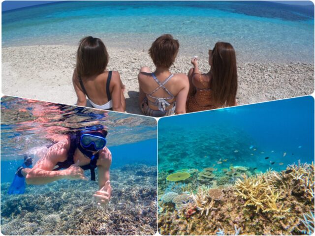【西表島/半日】ウミガメに会えるかも☆サンゴでできた奇跡の島『バラス島』シュノーケリングツアー★写真無料