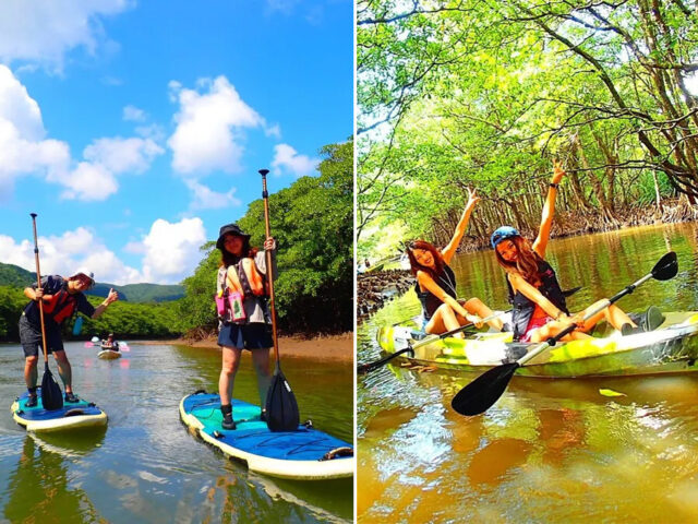 仲間川、マングローブ、SUP,カヌー