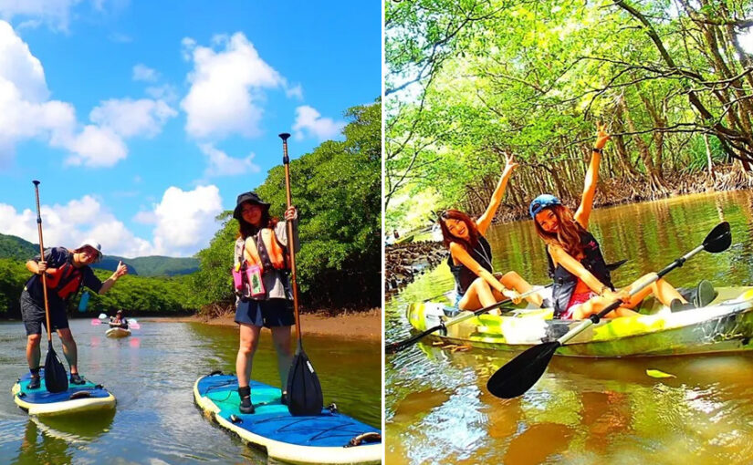 仲間川、マングローブ、SUP,カヌー