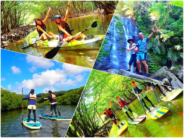 仲間川マングローブ SUP シャワートレッキング