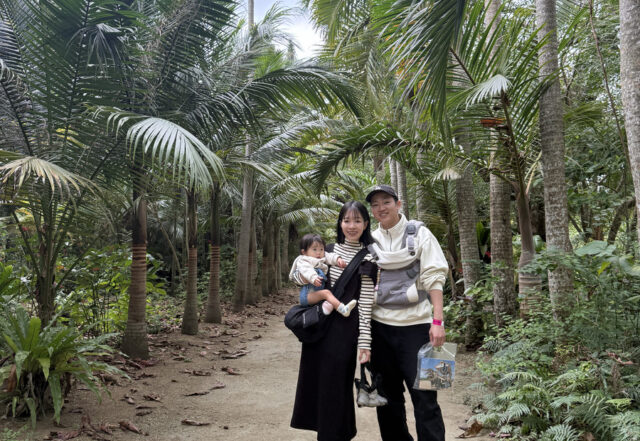 ピナイサーラの滝　由布島　水牛